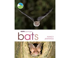KNYGA Nancy Jennings RSPB Spotlight Bats