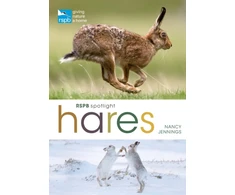 KNYGA Nancy Jennings RSPB Spotlight Hares