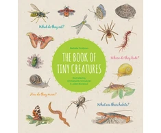 KNYGA Nathalie Tordjman Book of Tiny Creatures