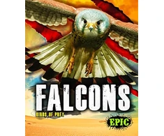 KNYGA Nathan Sommer Falcons