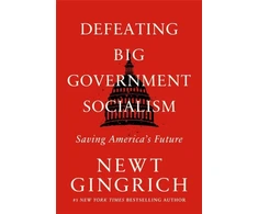 KNYGA Newt Gingrich Defeating Big Government Socialism