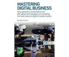 KNYGA Nicholas D Evans Mastering Digital Business
