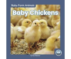 KNYGA Nick Rebman Baby Chickens