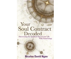 KNYGA Nicolas David Ngan Your Soul Contract Decoded