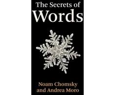 KNYGA Noam Chomsky Secrets of Words