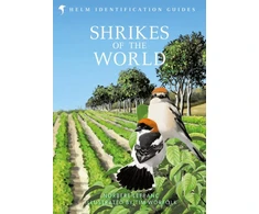 KNYGA Norbert Lefranc Shrikes of the World