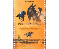KNYGA Oli Hein Punch a Hole