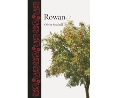 KNYGA Oliver Southall Rowan