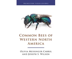 KNYGA Olivia Messinger Carril Common Bees of Western North America