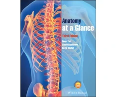 KNYGA Omar Faiz Anatomy at a Glance