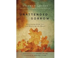 KNYGA Ondrea Levine Unattended Sorrow