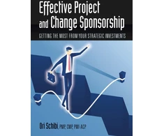 KNYGA Ori Schibi Effective Project and Change Sponsorship