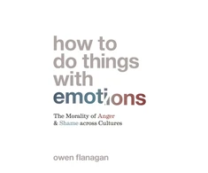 KNYGA Owen Flanagan How to Do Things with Emotions