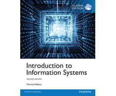 KNYGA Patricia Wallace Introduction to Information Systems, Global Edition