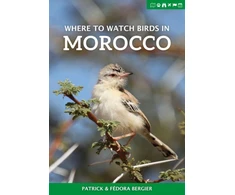 KNYGA Patrick Bergier Where to Watch Birds in Morocco