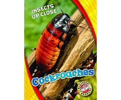 KNYGA Patrick Perish Cockroaches