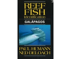 KNYGA Paul Humann Reef Fish Identification
