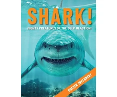 KNYGA Paul Mason Shark!