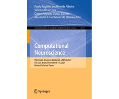 KNYGA Paulo Rogério de Almeida Ribeiro Computational Neuroscience