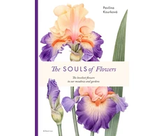 KNYGA Pavlina Kourkova Souls of Flowers