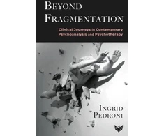KNYGA Pedroni Beyond Fragmentation