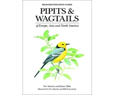 KNYGA Per Alstrom Pipits and Wagtails of Europe, Asia and North America