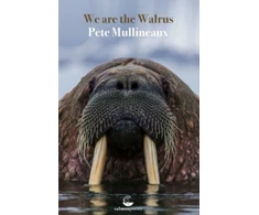 KNYGA Pete Mullineaux We Are the Walrus
