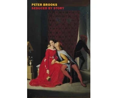 KNYGA Peter Brooks Seduced by Story