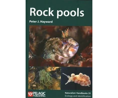 KNYGA Peter J Hayward Rock pools