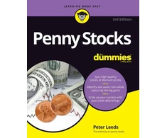 KNYGA Peter Leeds Penny Stocks For Dummies