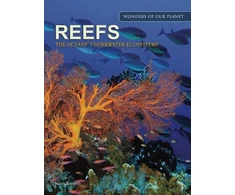 KNYGA Peter Mavrikis Reefs
