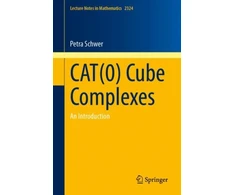 KNYGA Petra Schwer CAT(0) Cube Complexes