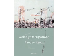 KNYGA Phoebe Wang Walking Occupations