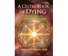KNYGA Phyllida Anam Aire Celtic Book of Dying