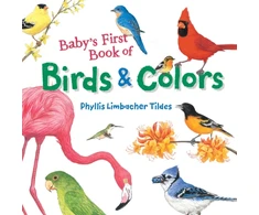 KNYGA Phyllis Limbacher Tildes Baby's First Book of Birds &amp; Colors