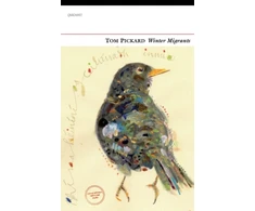KNYGA Pickard Winter Migrants