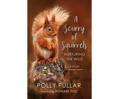 KNYGA Polly Pullar Scurry of Squirrels