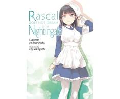 KNYGA Rascal Does Not Dream of a Nightingale (light novel)