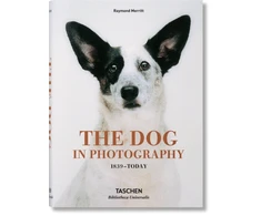KNYGA Raymond Merritt Dog in Photography 1839–Today