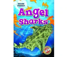 KNYGA Rebecca Pettiford Angel Sharks