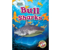 KNYGA Rebecca Pettiford Bull Sharks