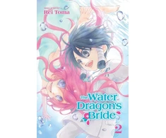 KNYGA Rei Tma Vanduo Dragon's Bride, Vol. 2