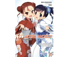KNYGA Reki Kawahara Accel World, Vol. 25 (light novel)