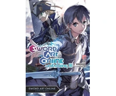 KNYGA Reki Kawahara Sword Art Online 24 (light novel)