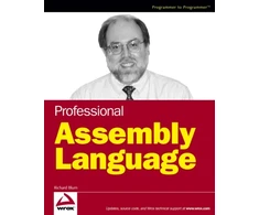KNYGA Richard Blum Professional Assembly Language