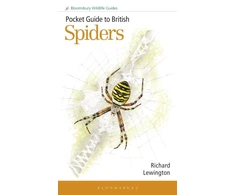 KNYGA Richard Lewington Pocket Guide to British Spiders