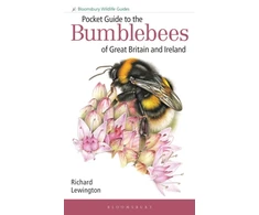 KNYGA Richard Lewington Pocket Guide to the Bumblebees of Great Britain and Ireland