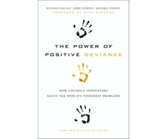 KNYGA Richard T Pascale Power of Positive Deviance