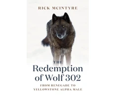 KNYGA Rick Mcintyre Redemption of Wolf 302