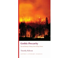 KNYGA RIDEOUT Gothic Precarity